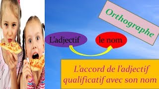 Projet 01 Séqu 02 Orthographe L’accord de l’adjectif qual avec son nom 1 AM  2ème génération [upl. by Linc]