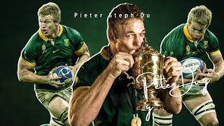 The BEST Tackler  PieterSteph du Toits HUGE Rugby Hits [upl. by Geldens388]