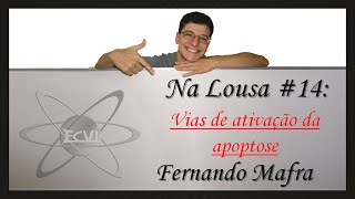 Na lousa 14 via de ativação da apoptose [upl. by Nore]