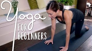 Yoga For Complete Beginners  20 Minute Home Yoga Workout [upl. by Yelkreb]