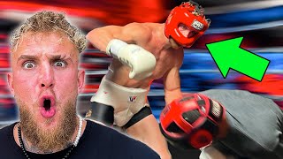 Logan Paul Sparring For Dillon Danis EXCLUSIVE FOOTAGE [upl. by Crowe95]