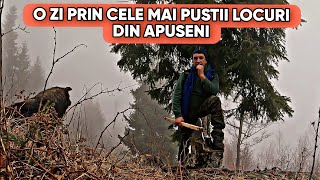 MA PRINS CEAȚA ȘI PLOAIA ÎN MIJLOCUL SĂLBATICIEI  O ZI PRIN MUNȚII APUSENI [upl. by Dorella]