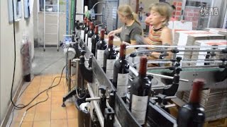 Glass Bottle Red Wine Filling Capping Corking Labeling Machine and Making Production Lline [upl. by Martinic]