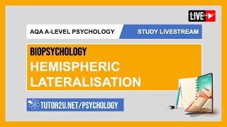 AQA ALevel Psychology  Study Livestream  Biopsychology  Hemispheric Lateralisation [upl. by Shaw]