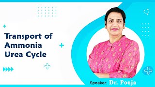 Transport of Ammonia Urea Cycle By Dr Pooja For MBBS 1st Proff [upl. by Elvira]