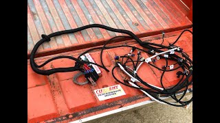 LS Swap Gets New Wiring Harness EASY Install [upl. by Akimak492]