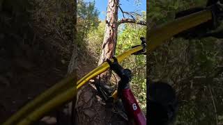 Hz trail to Limbaugh Canyon pt22 mtb explore trails mountainbike trek gopro12 [upl. by Eleinad146]