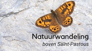 Natuurwandeling boven SaintPastous 1292 [upl. by Sibella]