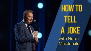 Understanding the Comedy of Norm Macdonald  Norm Lives  His Influences  Comedians on Norm [upl. by Leen]