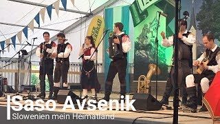 Saso Avsenik  Slowenien mein Heimatland [upl. by Klein]