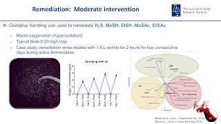 Managing ‘reductive’ aromas in wines [upl. by Arimihc10]