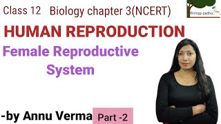 Female Reproductive System Class 12 biology CH 3NCERT  NEETbiology neet [upl. by Anade]