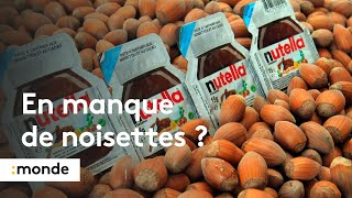 Vers une pénurie de Nutella [upl. by Nerrag223]