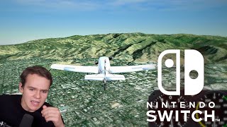 This Nintendo Switch Flight Simulator Is ACTUALLY GOOD [upl. by Cirdahc346]