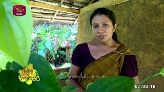 Ran Arunella  රන් අරුණැල්ල  Agriculture Program  20240706  Rupavahini [upl. by Shelia894]