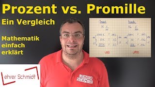 Prozent und Promille  Ein Vergleich  Mathematik einfach erklärt  Lehrerschmidt [upl. by Roche]