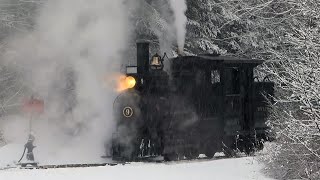 Day 0 of quotThe Grand Reunionquot at the Wiscasset Waterville amp Farmington Railway Museum 4K [upl. by Martine]