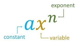 What is a Polynomial [upl. by Delogu987]