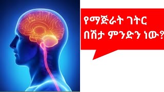 የማጅራት ገትርMeningitis ሕመም በሕጻናትMeningitis in Children [upl. by Klockau]