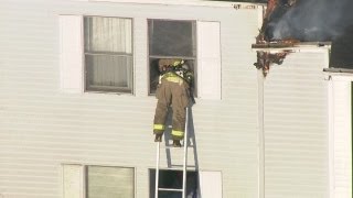 Firefighter saves cat from burning apartment [upl. by Nahgeem]