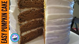 How to make Easy Ombre Cake  Pinch of Luck [upl. by Ainattirb]