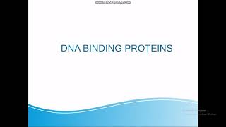 DNA Binding Proteins  Seminar [upl. by Torrin619]