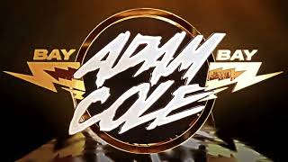 AEW MJF amp Adam Cole Theme Mashup  Arena Effect 2023 [upl. by Bac]