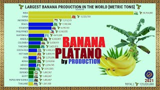 BIGGEST BANANA PRODUCERS IN THE WORLD [upl. by Moise407]