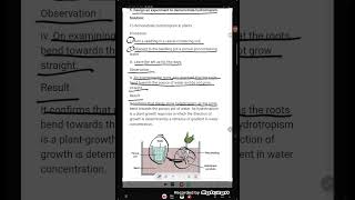 Design an experiment to demonstrate hydrotropism [upl. by Rramahs240]