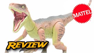 Amber Collection Velociraptor Echo  Jurassic World Amber Collection  Mattel Figure Review [upl. by Reina514]