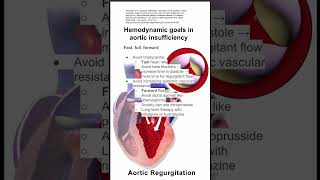 Hemodynamic goals in aortic insufficiency [upl. by Oleic825]