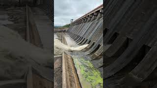 Hirakud Dam First Flood Water Release 2024  Wildgrass Entertainment  Shorts [upl. by Faxen]