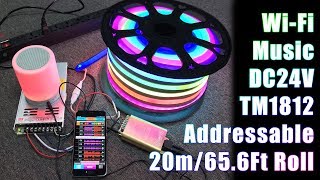 DC24V 656Ft20m Addressable RGB LED Neon Flex Lights Work with VSS WiFi Music Controller [upl. by Nerahs]