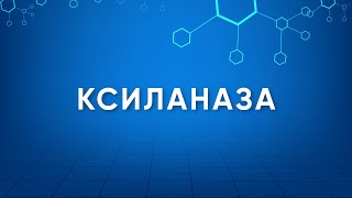 Ксиланаза Xylanase Назначение Производство Применение Энзимология в деталях [upl. by Akena]