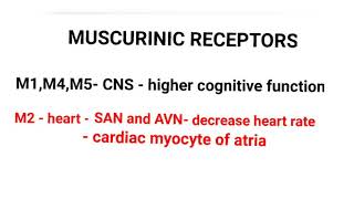 Muscurinic Receptors [upl. by Eddra890]