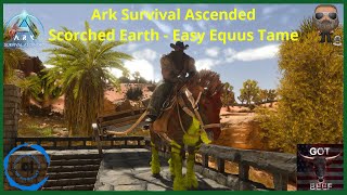 Ark Survival Ascended PS5 Easy Equus Tame on Scorched Earth [upl. by Eicak]