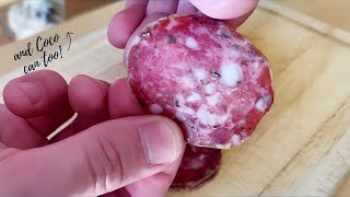 BASIC SALAMI RECIPE Dry Cured in Wine Fridge  Matt The Butcher [upl. by Anifled764]