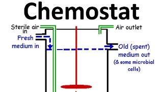 Chemostat [upl. by Raynata378]