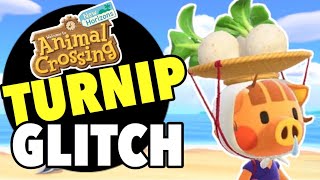 TURNIP HACK  Animal Crossing Turnip Guide on how to make bells selling turnips in animal crossing [upl. by Ettevol844]