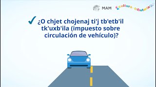 Impresión de la calcomanía y la tarjeta de circulación en Idioma Mam [upl. by Anerrol]