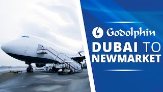 Dubai To Newmarket [upl. by Esom]