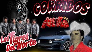 ☆puros corridos perrones 💥 los tigres del norte ☆☆Chalino Sánchez 💥 el rey del corrido 💥💥 [upl. by Waneta]