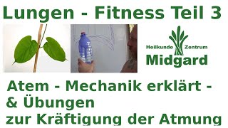 Lungen Fitness Teil 3 Atemmechanik und Übungen zur Kräftigung [upl. by Ardnaid]