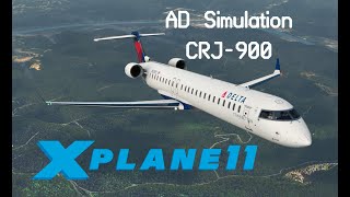 AD Simulations CRJ900 X Plane 11 [upl. by Garlaand873]