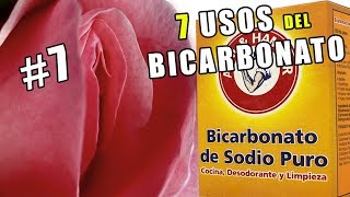 7 Usos del bicarbonato de Sodio que cada mujer tiene que conocer El7 te enloquecerá [upl. by Behnken]