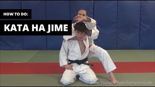 How to do Kata Ha jime [upl. by Leahcimsemaj340]