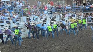 Wild Horse Race at 2017 Omak Stampede [upl. by Zemaj]