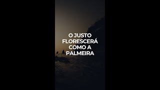 O Justo Florescerá Como A Palmeira [upl. by Erialb421]