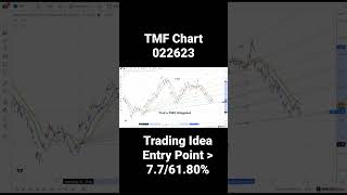 TMF Stock Chart 022623 [upl. by Ardnoik]