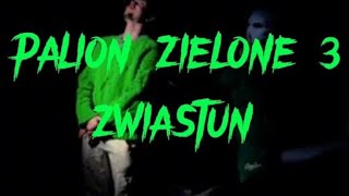 PALION  ZIELONE 3 ZWIASTUN OFFICIAL MUSIC VIDEO [upl. by Husha]